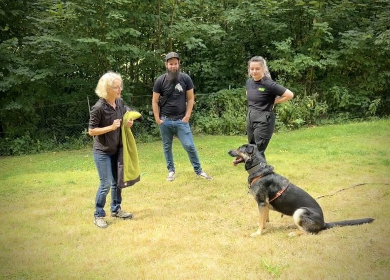 hundetraining